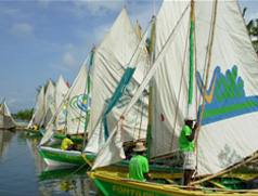 Ecole de voile