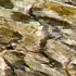 img1