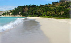 The Beaches