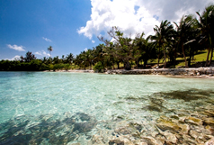 The Beaches
